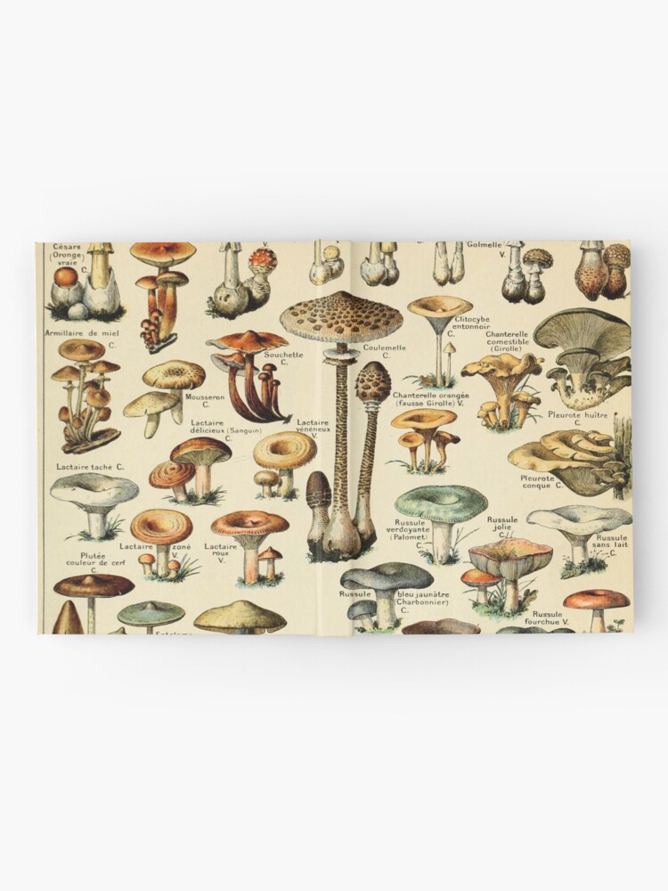 Alternate view of Mushrooms Hardcover Journal