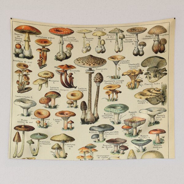 Item preview, Mushrooms designed and sold by Salocin.