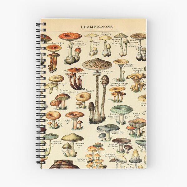 Item preview, Mushrooms designed and sold by Salocin.