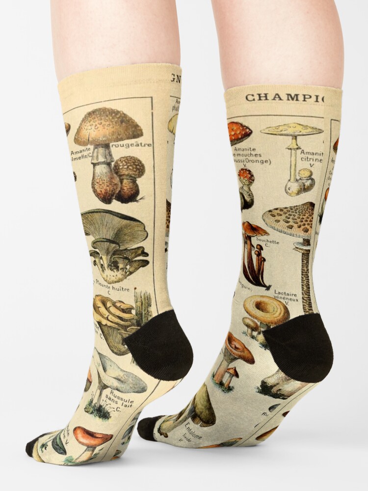 smartwool mushroom socks