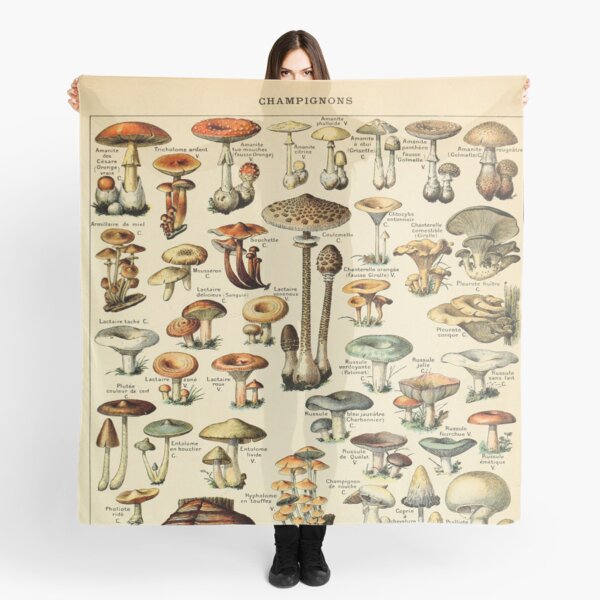 Mushrooms Scarf