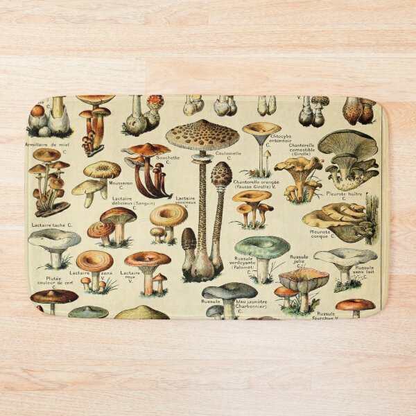 Mushroom Face Ashtray - 2ct – Magical Moods