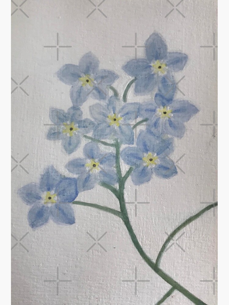 Forget Me Not Flower Watercolour Painting Art Board Print By Shanoonplantoid Redbubble