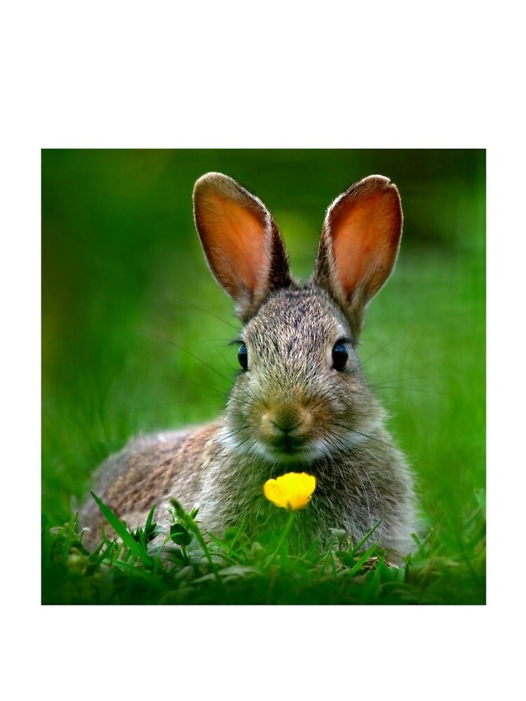 Thumbnail 5 of 5, iPhone Case, Baby Rabbit designed and sold by GavinMacrae.