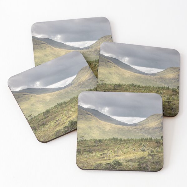 Item preview, 'Old Scots Pines', Glen Lyon, Perthshire. designed and sold by mucklepawprint.