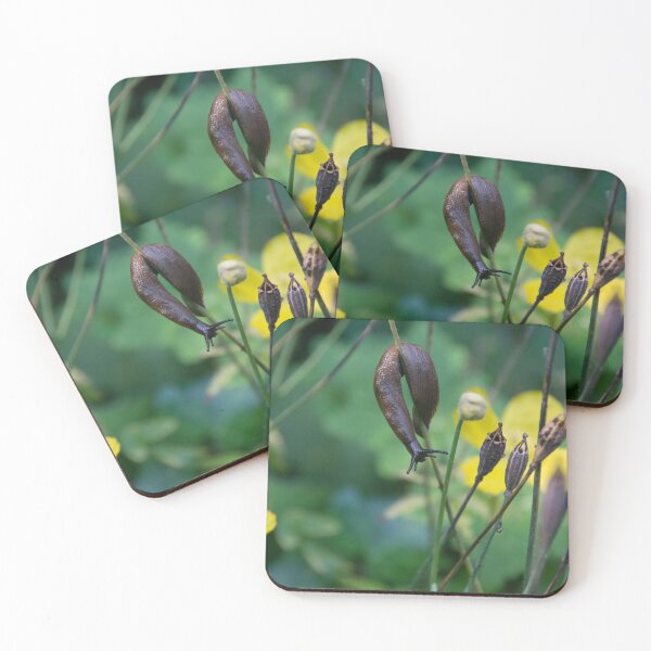 Item preview, slug dancing on a poppy designed and sold by vfphoto.