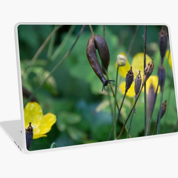 slug dancing on a poppy Laptop Skin