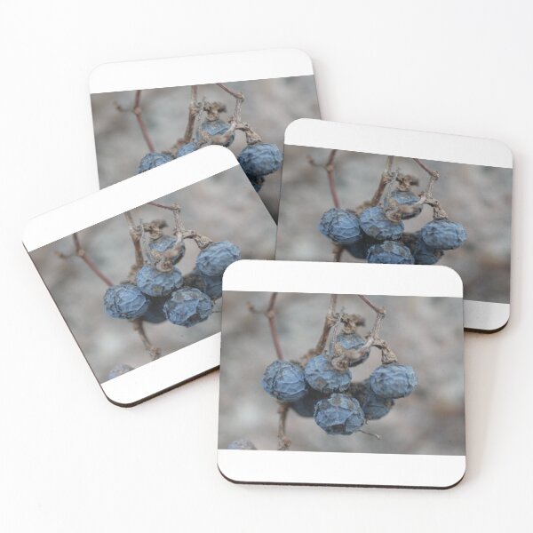Item preview, Withered and Waiting for Rebirth designed and sold by Mike Ashley.
