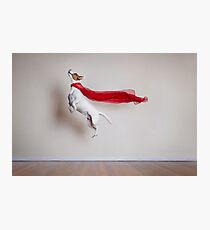 Super Dog Photographic Print