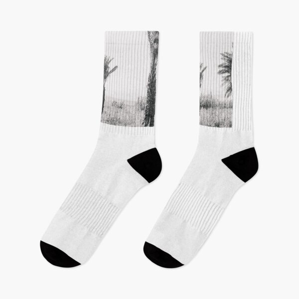 Item preview, Black and White Palm trees in Israel nature photography designed and sold by Prints Actually.