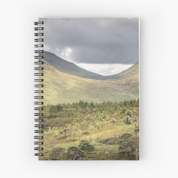 Item preview, 'Old Scots Pines', Glen Lyon, Perthshire. designed and sold by mucklepawprint.