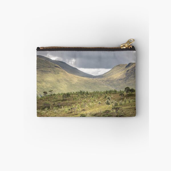 Item preview, 'Old Scots Pines', Glen Lyon, Perthshire. designed and sold by mucklepawprint.