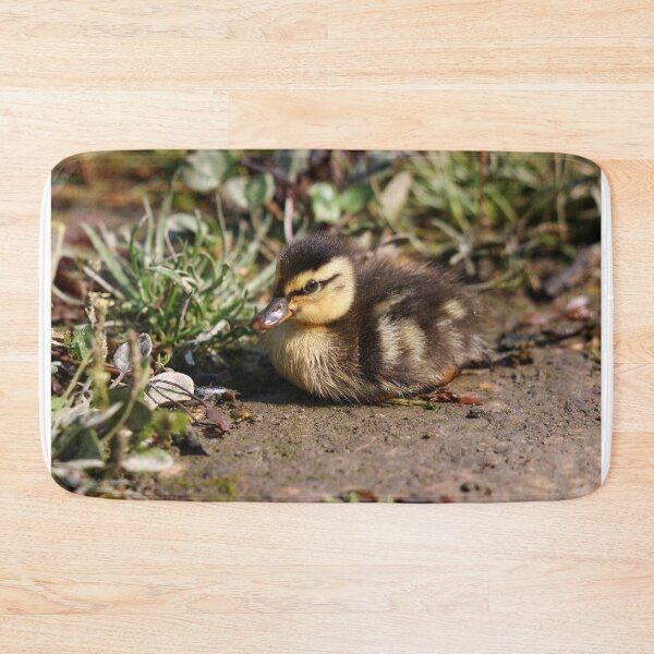 Item preview, Duckling designed and sold by GreyFeatherPhot.