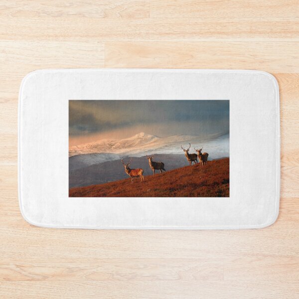 Item preview, Stags at Strathglass designed and sold by Macrae images.