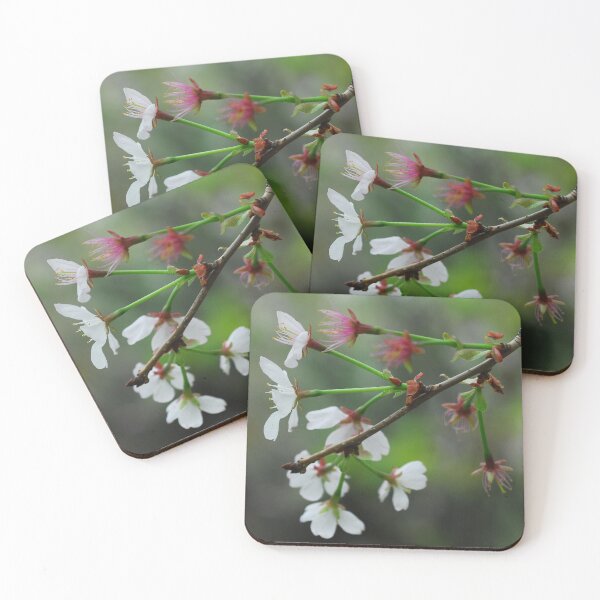 Item preview, Cherry Blossoms (2) designed and sold by Mike Ashley.