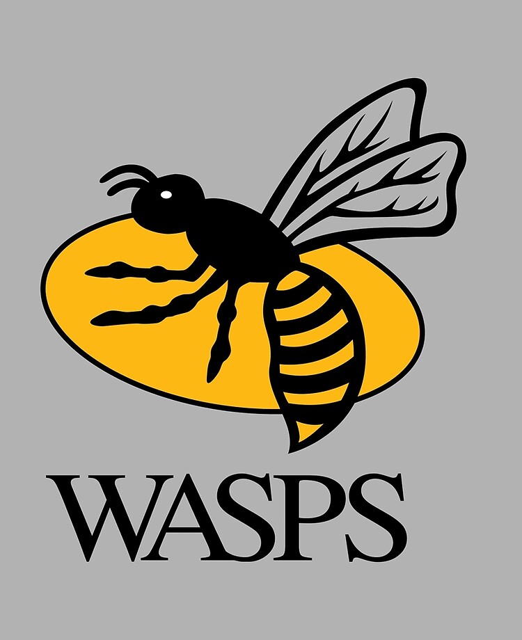 wasps rugby