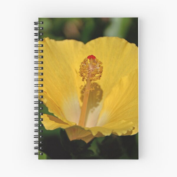 Item preview, Hibiscus designed and sold by Sandy Keeton.