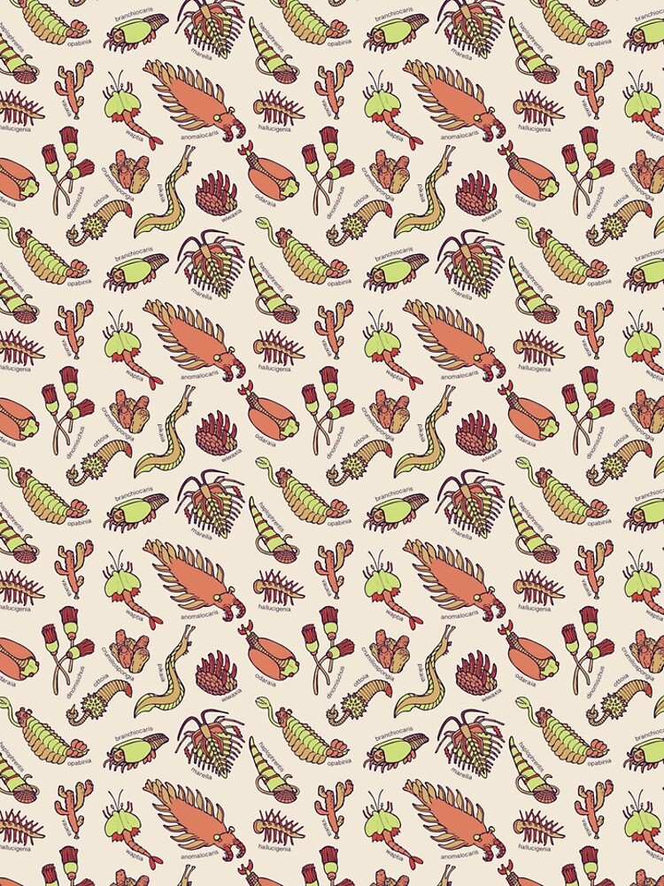 Cambrian Critters by softbiology
