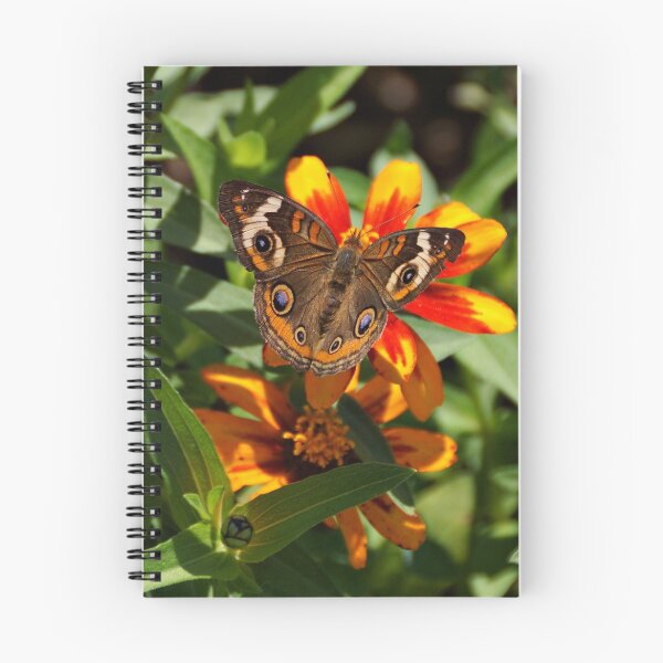 Item preview, Buckeye Butterfly designed and sold by Sandy Keeton.