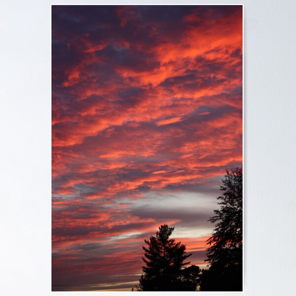 Item preview, Carolina Fire  designed and sold by Dan Casey Campbell.