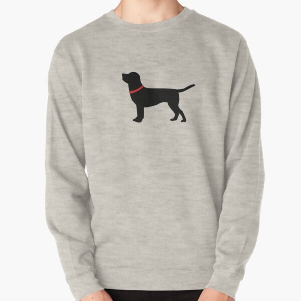 best portable dog pen