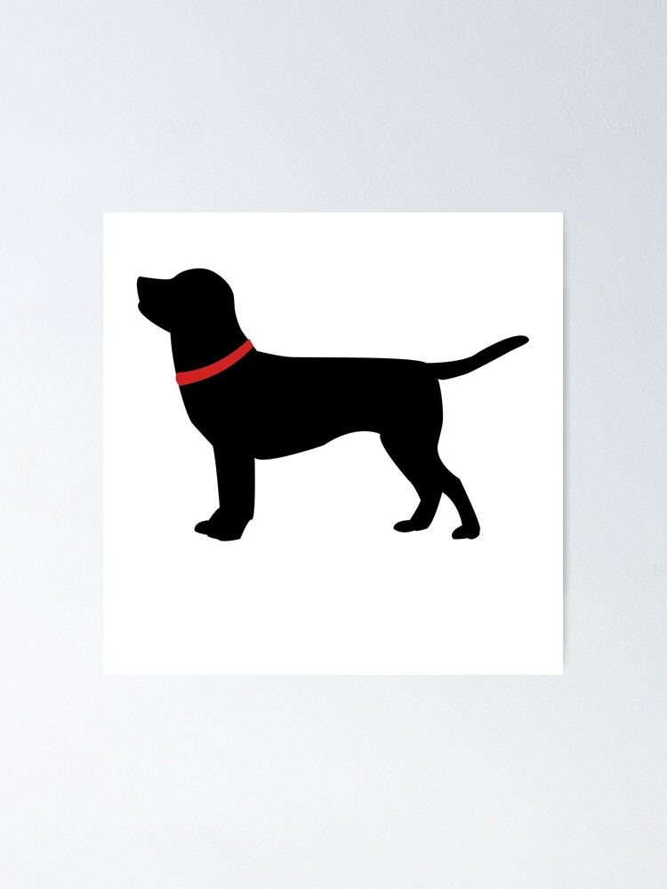 black lab red collar