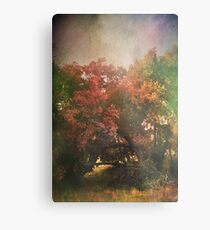 Please Let There Be Magic On The Other Side Metal Print