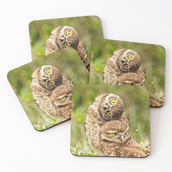Item preview, Burrowing Owl Chicks designed and sold by DueNorthGallery.