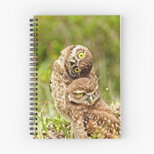 Item preview, Burrowing Owl Chicks designed and sold by DueNorthGallery.
