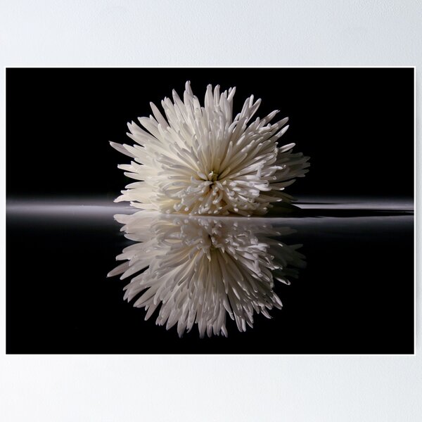 Item preview, Flower on Glass  designed and sold by BarkingGecko.