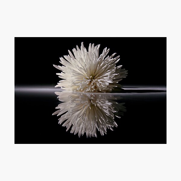 Item preview, Flower on Glass  designed and sold by BarkingGecko.