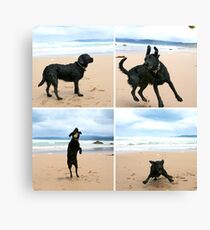 Omar at Apollo Bay Canvas Print