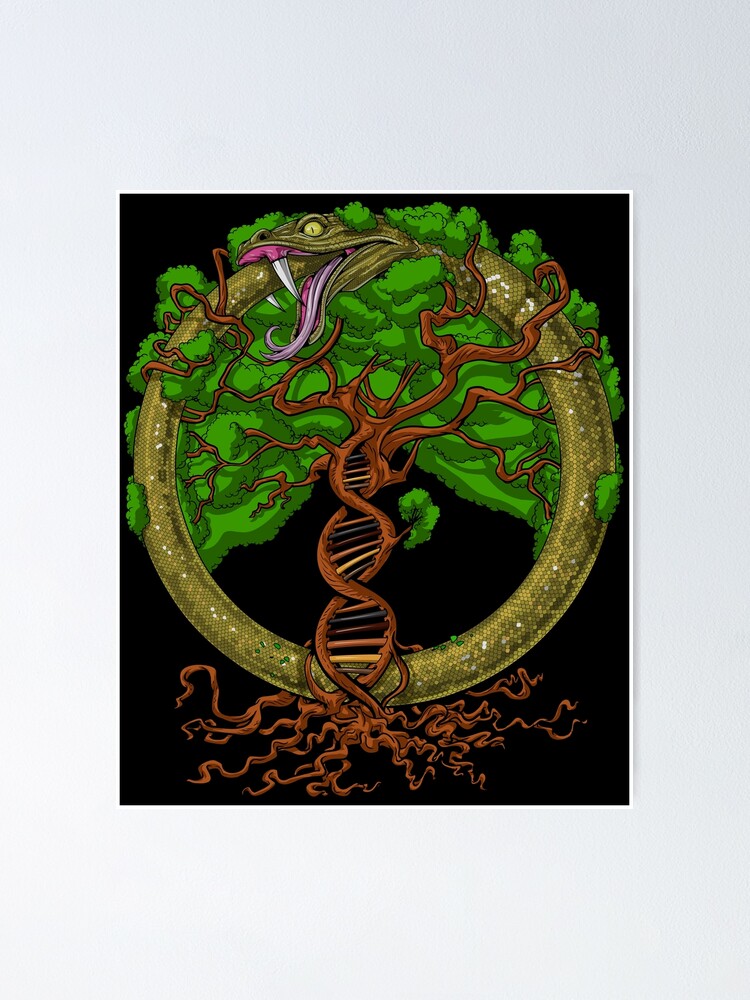 The Genealogical World of Phylogenetic Networks Tattoo Monday XXI