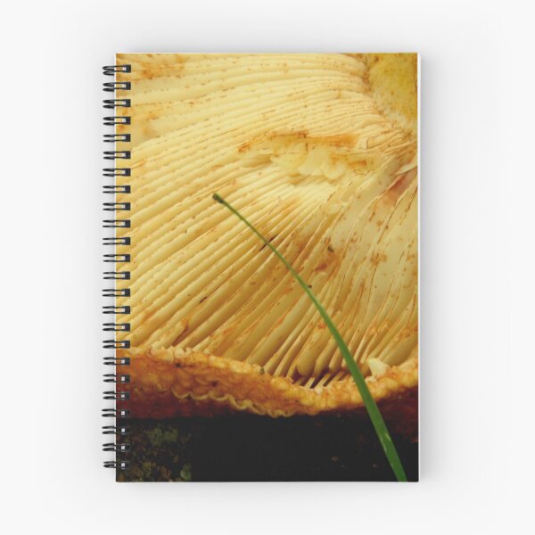 Item preview, In the deep, deep woods....    ^ designed and sold by ctheworld.