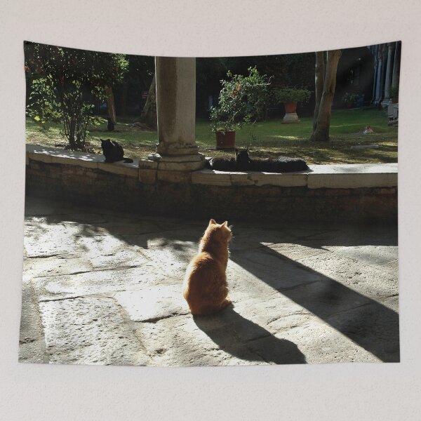 Item preview, Cats Cloister designed and sold by Nerone.