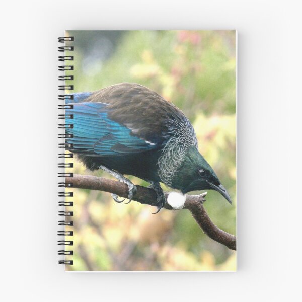 Item preview, Tui......is that somebody in my patch I see........? designed and sold by Roy  Massicks.