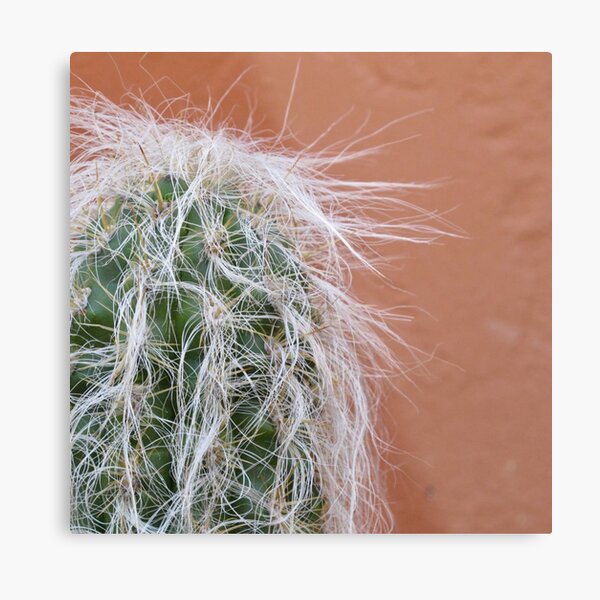 One of THOSE days Metal Print