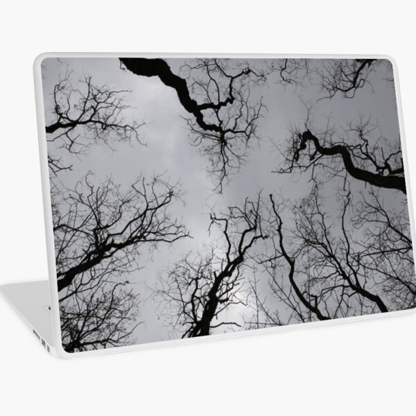 It Gets Better From Here Laptop Skin
