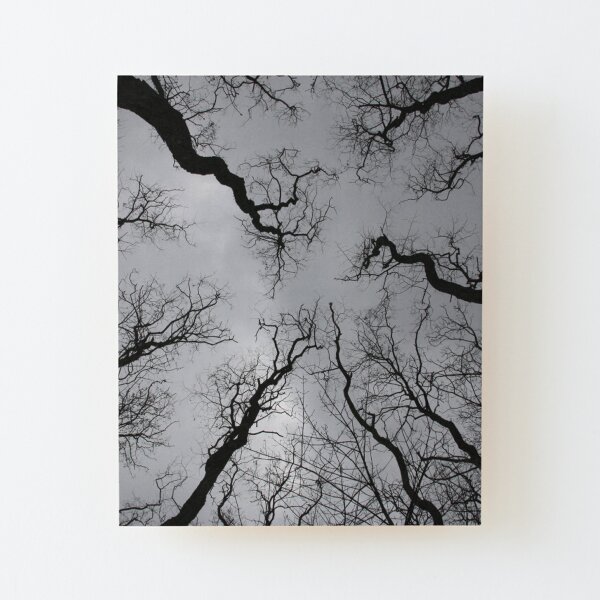 It Gets Better From Here Wood Mounted Print