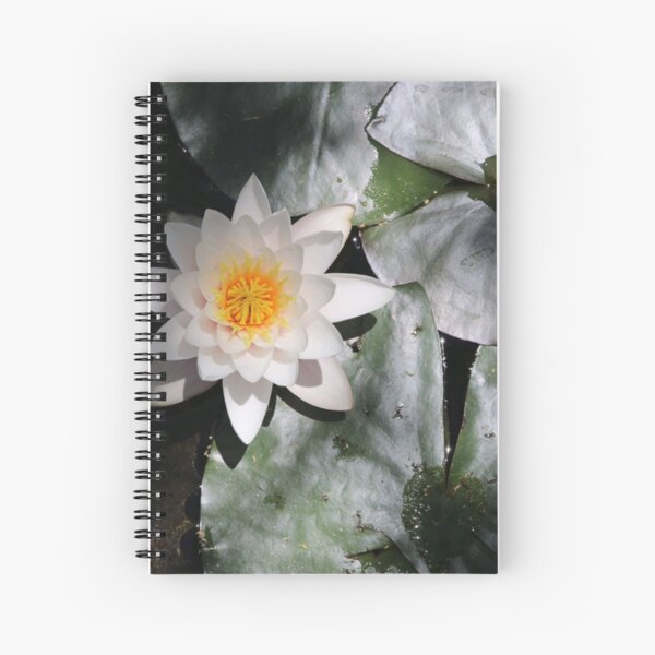 The OM of Water Lillies Spiral Notebook