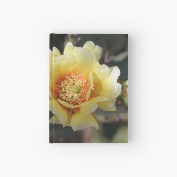 Beauty of Desert Blooms Hardcover Journal