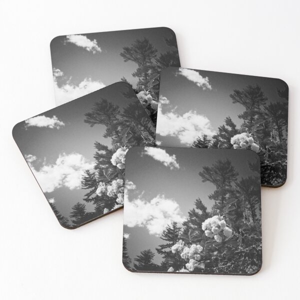 Item preview, lomo gardens black and white designed and sold by Vivien Merveilles.