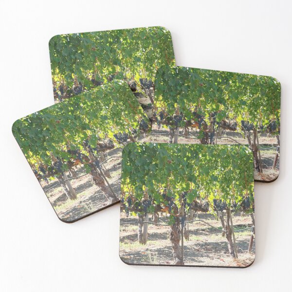 Item preview, Vineyards, Napa Valley, Ca designed and sold by mzphoto.