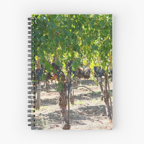 Item preview, Vineyards, Napa Valley, Ca designed and sold by mzphoto.