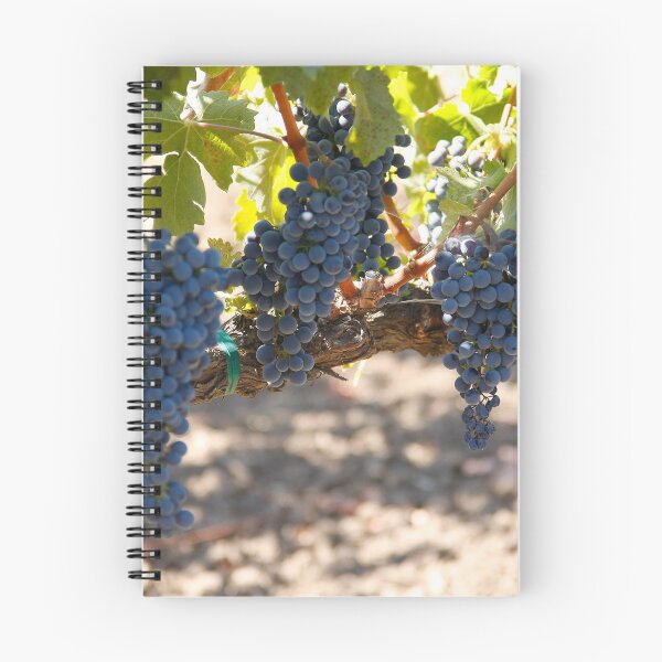 Item preview, Vineyards, Napa Valley, Ca designed and sold by mzphoto.