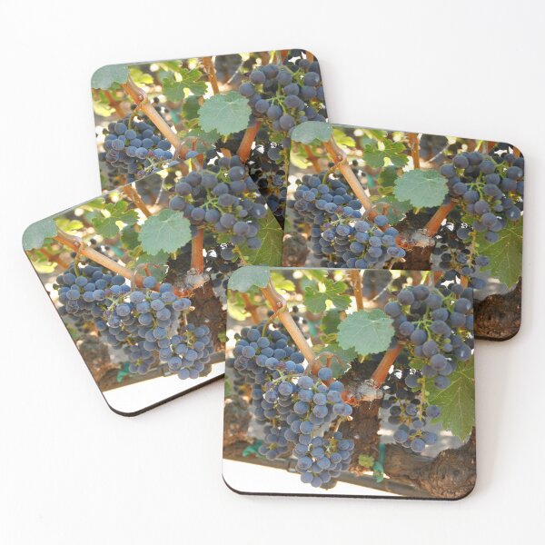 Aperçu de l'œuvre Wine grapes, Napa CA créée et vendue par mzphoto.