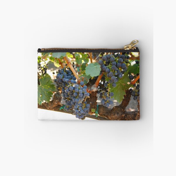 Aperçu de l'œuvre Wine grapes, Napa CA créée et vendue par mzphoto.