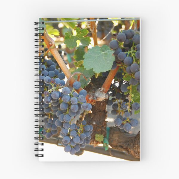 Item preview, Wine grapes, Napa CA designed and sold by mzphoto.