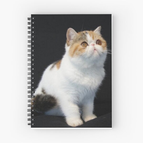 Item preview, Kitty designed and sold by gasm.