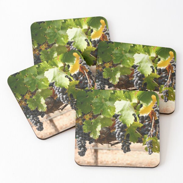 Item preview, Wine grapes, Napa CA designed and sold by mzphoto.